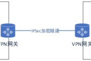 Fly VPN，网络连接的守护者与高效选择