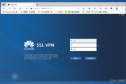 华为Mac版SSL VPN，安全高效的远程接入利器