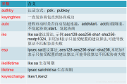 StrongSwan VPN深度解析，打造安全高效的远程连接新方案