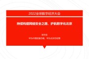 VPN联盟引领网络安全新纪元，崛起中的挑战与数字防线构建