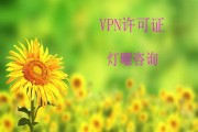 我国部分地区放宽VPN限制，互联网自由度显著提高