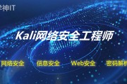 Kali VPN，安全渗透测试的不二利器深度解析