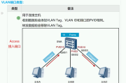 VLAN与VPN，网络划分与远程访问的双刃剑，区别解析