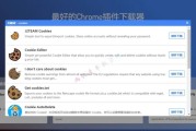 揭秘VPN CRX插件，安全网络浏览的秘密武器