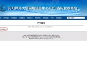 深入解析，VPN软件下载与使用攻略