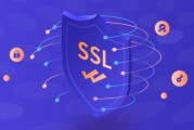 解锁网络安全新篇章，SSL VPN原理深度解析