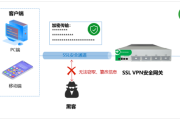 SSL VPN软件，守护远程办公的安全与效率神器