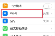 WiFi环境下iPhone用户VPN使用攻略，守护您的网络隐私与安全