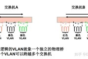 网络通信双剑客，VPN与VLAN技术深度解析