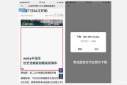 iOS系统PPTP协议停用，VPN用户应对策略解析