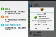 绿叶VPN，网络安全领域的绿色守护先锋