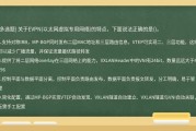 以太网VPN技术揭秘，打造高效安全远程网络桥梁