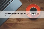 解锁H1Z1自由之旅，告别VPN，畅游无阻