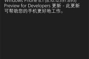 WP8.1 VPN设置攻略，轻松实现网络自由与安全防护