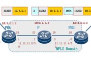 网络自由新篇章，VPN的普及之路与挑战解析