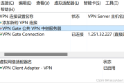 探索VPN Gate，免费公共VPN服务的中继奥秘及使用攻略