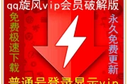 天行VPN VIP破解内幕，技术解析与潜在风险解析