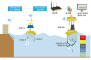 海豚VPN，海洋智慧引领网络安全新境界