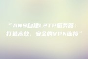 L2TP VPN软件，构建高效安全远程连接的强大工具