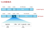 网络隔离与加密双剑合璧，VLAN与VPN技术深度解析