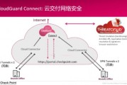 Check Point VPN，揭秘网络安全防线的关键技术