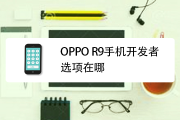 OPPO R9 VPN设置教程，轻松保护隐私，畅游网络世界