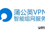 蒲公英VPN，解锁全球资讯，护航网络自由之旅