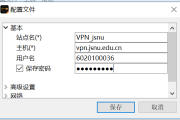 Array SSL VPN 下载与配置全攻略