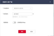 绿色VPN与天行VPN，性能对决与选购攻略