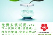 网络安全长城的守护者，卓越的VPN经理