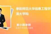 阜阳师范学院开启VPN助力下的网络学习新时代