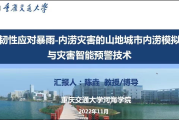 河海VPN，河海学子网络畅游与学术创新的得力助手