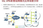 解码网络自由，VPN在现代网络环境中的关键作用