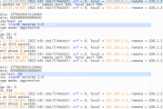 精通Juniper IPsec VPN配置，从入门到高阶技巧解析