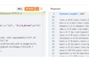 迪普VPN，护航网络安全，解锁全球网络自由之旅