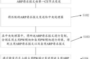 L2VPN vs. L3VPN，差异与实际应用解析