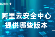 阿里云赋能企业安全网络——揭秘高效VPN服务器架设之道