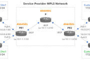 MPLS VPN下的BGP实现，打造高性能与安全并重的虚拟专用网络