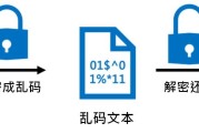 盈利VPN的奥秘，揭秘VPN技术收益最大化策略