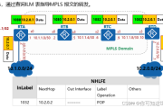 华为MPLS VPN技术，打造高效安全远程网络桥梁