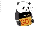 UCL VPN，学生高效学习，畅游网络资源的利器