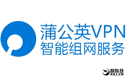 蒲公英VPN，解锁全球资讯，护航网络自由之旅,蒲公英 vpn,第1张