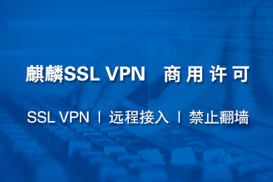 麒麟VPN，网络安全守护者，畅游全球网络自由,麒麟vpn,第1张