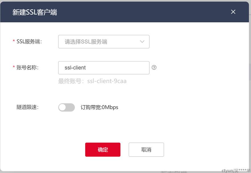 天VPN，网络自由的坚定守护者,天vpn,第1张