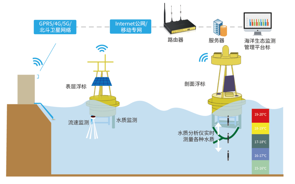 海豚VPN，海洋智慧引领网络安全新境界,海豚vpn,第1张