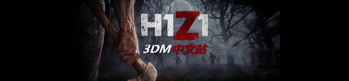 揭秘H1Z1 VPN，游戏加速器奥秘及使用攻略,h1z1vpn,第1张