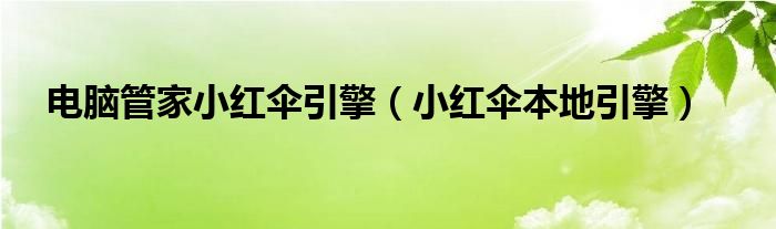 小红伞VPN，守护网络安全，畅游全球网络世界,小红伞的vpn,快速的VPN,第1张