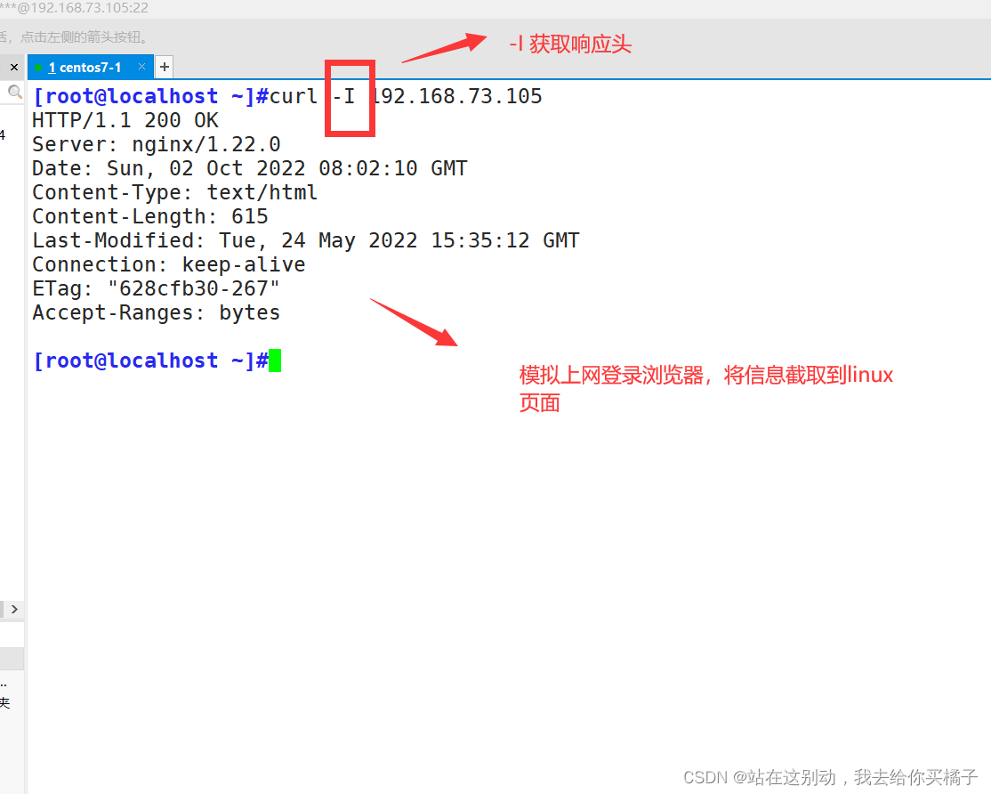 Nginx VPN融合，打造高效率安全网络解决方案,nginx vpn,第1张