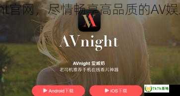 探索AVNight VPN的奥秘，揭秘其神秘功能与特性,avnight的VPN是什么,第1张