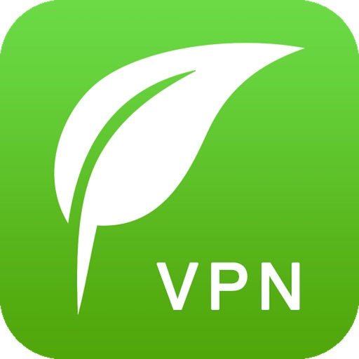 网络加速利器大揭秘，VPN与绿豆加速器深度解析,vpn 绿豆加速器,第1张